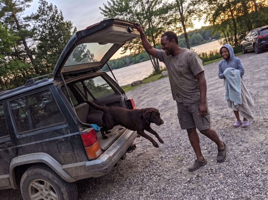 Chocolate Labrador jumping out of a car next to a dad and daughter at a lake
